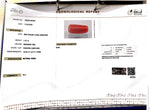 Load image into Gallery viewer, 7.47/CT Natural Red Coral With Govt. Lab Certificate