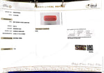 Load image into Gallery viewer, 6.92/CT Natural Red Coral With Govt. Lab Certificate