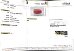 Load image into Gallery viewer, 7.19/CT Natural Red Coral With Govt. Lab Certificate
