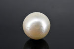 Load image into Gallery viewer, 32.55/CT Natural South Sea Pearl With Lab Certificate (1550)