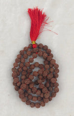 Load image into Gallery viewer, SIX MUKHI RUDRAKSHA MALA - KG01