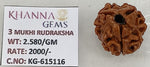 Load image into Gallery viewer, 2.580 Gram Natural Three Mukhi Rudraksha with Govt. Lab Certificate-KG615116