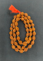 Load image into Gallery viewer, THREE MUKHI RUDRAKSHA MALA - KG01