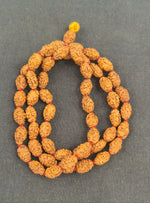 Load image into Gallery viewer, TWO MUKHI RUDRAKSHA MALA - KG01