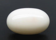 14.51/CT White Coral with Govt. Lab Certified (1500)