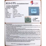 Load image into Gallery viewer, 10.61/CT Natural Aquamarine with Govt Lab Certificate-5661