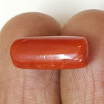 Load image into Gallery viewer, Natural Italian Moonga