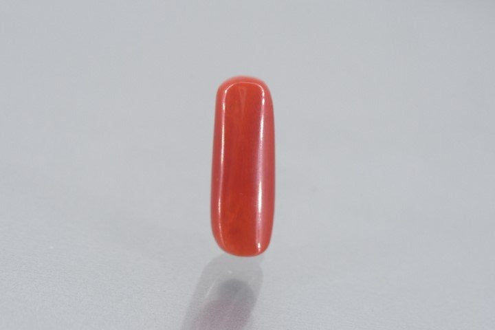 8.11/Carat Natural Cylindrical Red Coral (1800)