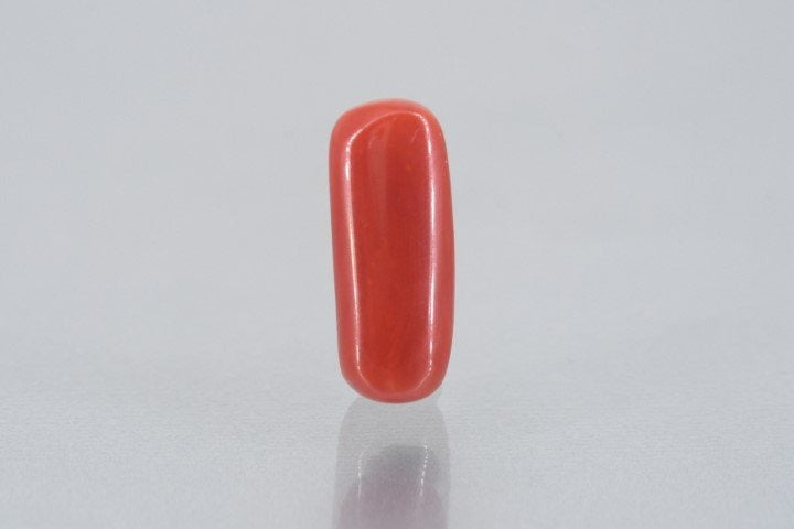 8.24/Carat Natural Cylindrical Red Coral (1800)
