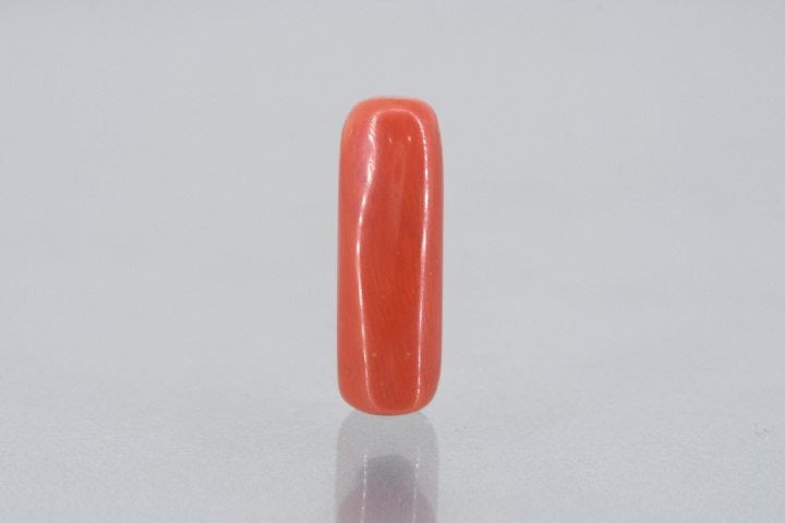 7.48/Carat Natural Cylindrical Red Coral (1800)