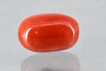 Load image into Gallery viewer, 11.90/Carat Natural Cylindrical Red Coral (2100)