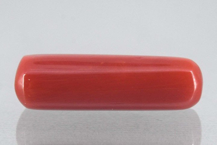 8.16/Carat Natural Cylindrical Red Coral-1800