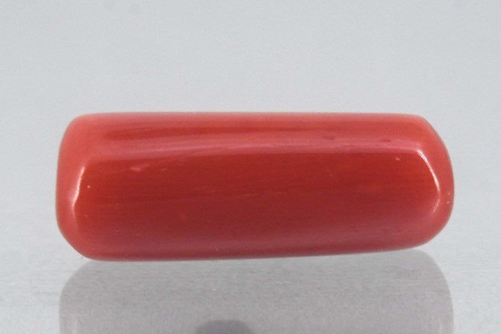 8.08/Carat Natural Cylindrical Red Coral-1800