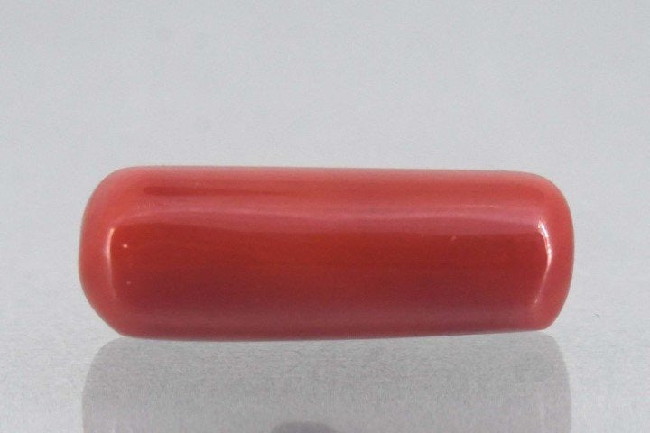 7.94/Carat Natural Cylindrical Red Coral-1800