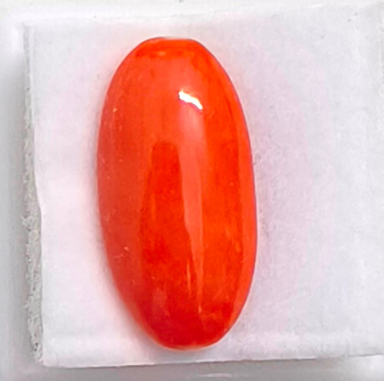 Natural Japanese Red Coral-7100