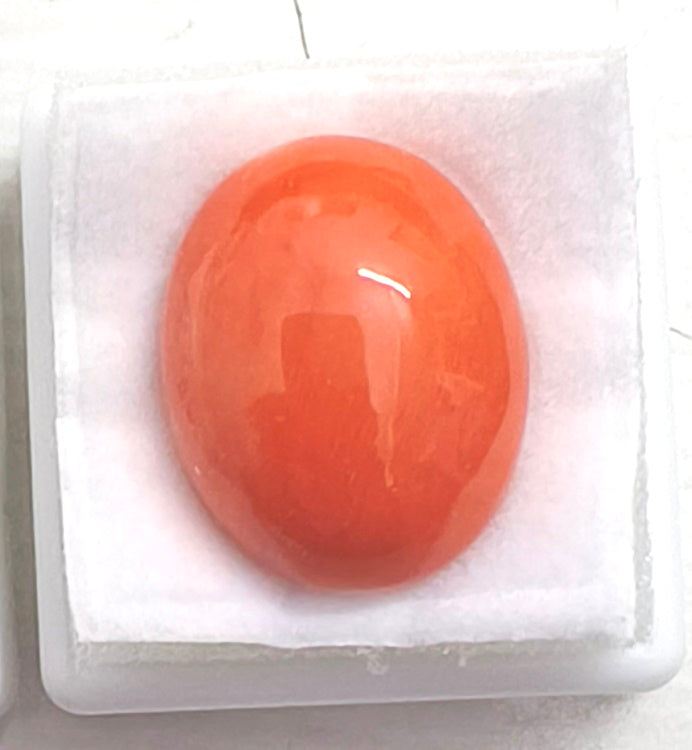 Natural Japanese Red Coral-7100