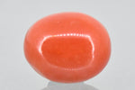 Load image into Gallery viewer, 11.63/Carat Natural Red Coral (2100)
