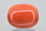 Load image into Gallery viewer, 12.55/Carat Natural Red Coral (2100)
