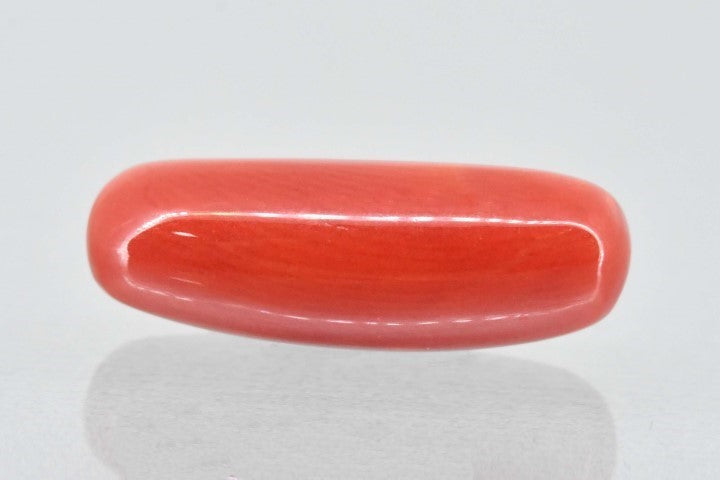 7.07/Carat Natural Cylindrical Red Coral (1800)