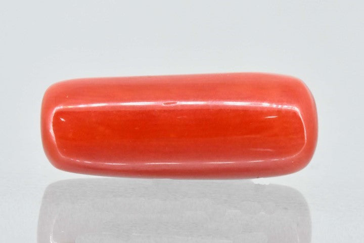 6.80/Carat Natural Cylindrical Red Coral (1800)
