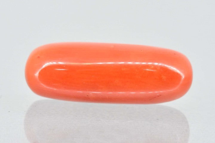 6.60/Carat Natural Cylindrical Red Coral (1800)