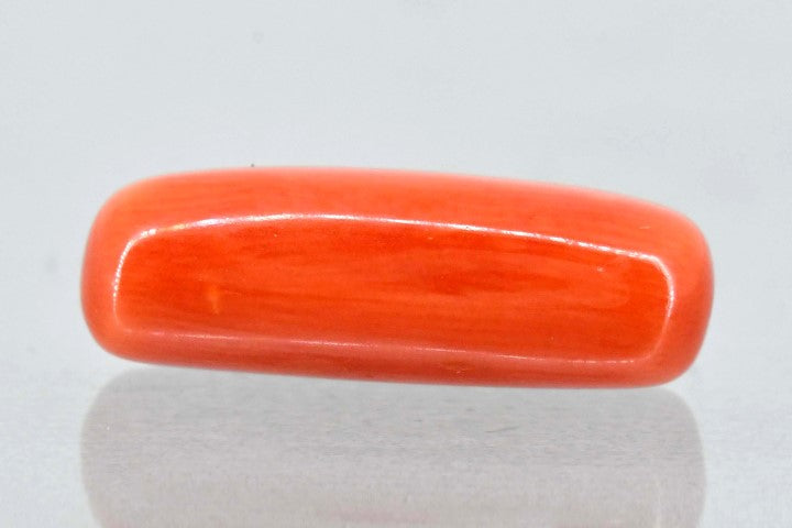 6.56/Carat Natural Cylindrical Red Coral (1800)