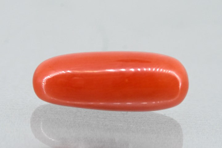 6.02/Carat Natural Cylindrical Red Coral (1500)