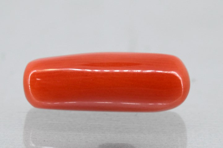 6.87/Carat Natural Cylindrical Red Coral (1800)
