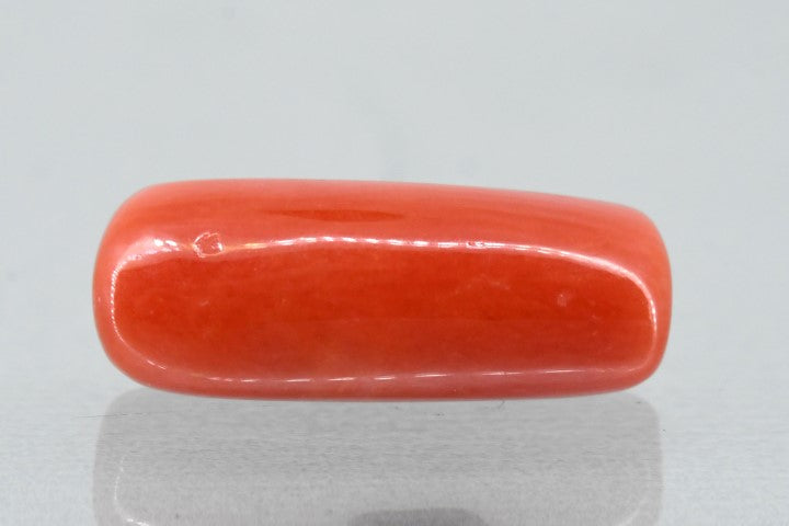 6.72/Carat Natural Cylindrical Red Coral (1800)