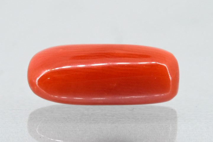 5.53/Carat Natural Cylindrical Red Coral (1500)