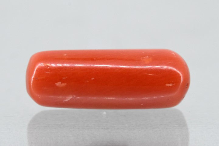 6.66/Carat Natural Cylindrical Red Coral (1800)