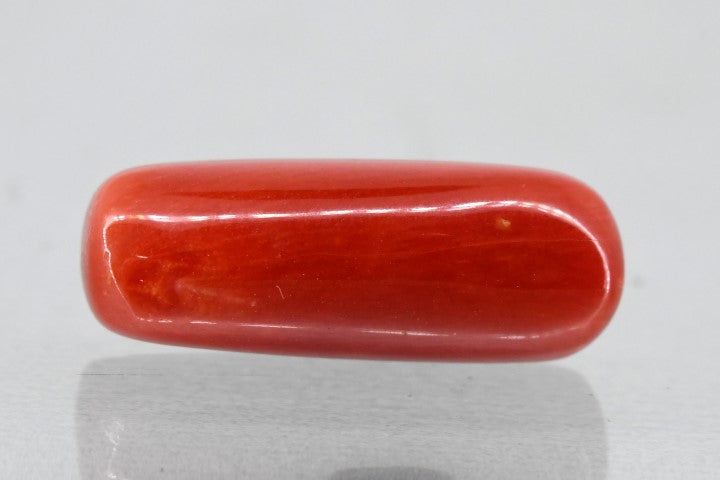 7.19/Carat Natural Cylindrical Red Coral (1800)