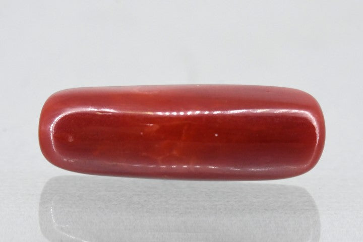 6.61/Carat Natural Cylindrical Red Coral (1800)