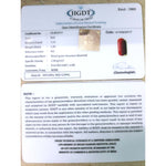 Load image into Gallery viewer, Natural Italian Moonga