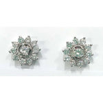 Load image into Gallery viewer, Silver Earring Zircon-E213-2475