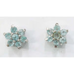 Load image into Gallery viewer, SILVER TOPS - E111