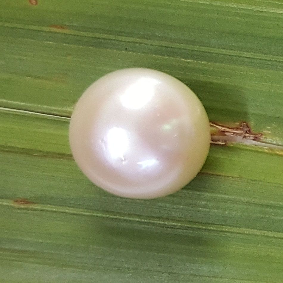 6.50 Ratti Fresh Water Pearl (277)