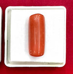 Load image into Gallery viewer, 10.42/Carat Natural Cylindrical Red Coral-1800