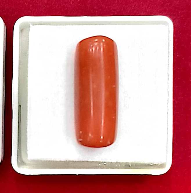 10.42/Carat Natural Cylindrical Red Coral-1800