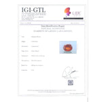 Load image into Gallery viewer, 4.83 Ratti Natural Govt. Lab Certified Ceylonese Gomed-(1100)