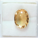 Load image into Gallery viewer, Goldan Topaz-450