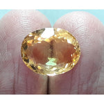 Load image into Gallery viewer, Goldan Topaz-450