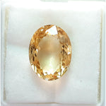 Load image into Gallery viewer, Goldan Topaz-450