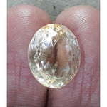 Load image into Gallery viewer, Goldan Topaz-450