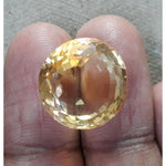 Load image into Gallery viewer, Goldan Topaz-450