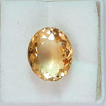 Load image into Gallery viewer, Goldan Topaz-450