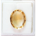 Load image into Gallery viewer, Goldan Topaz-450
