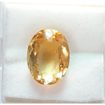 Load image into Gallery viewer, Goldan Topaz-450