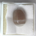Load image into Gallery viewer, 8.75/Carat Suleimani Hakki-(350)
