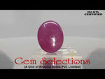 Load image into Gallery viewer, 6.50 Ratti Natural New Burma Ruby with Govt. Lab Certificate-(12210)